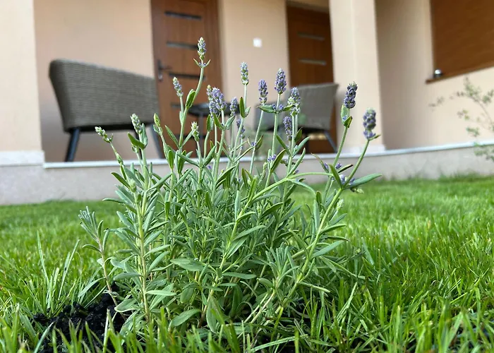 Poroszlove Vendeghaz *